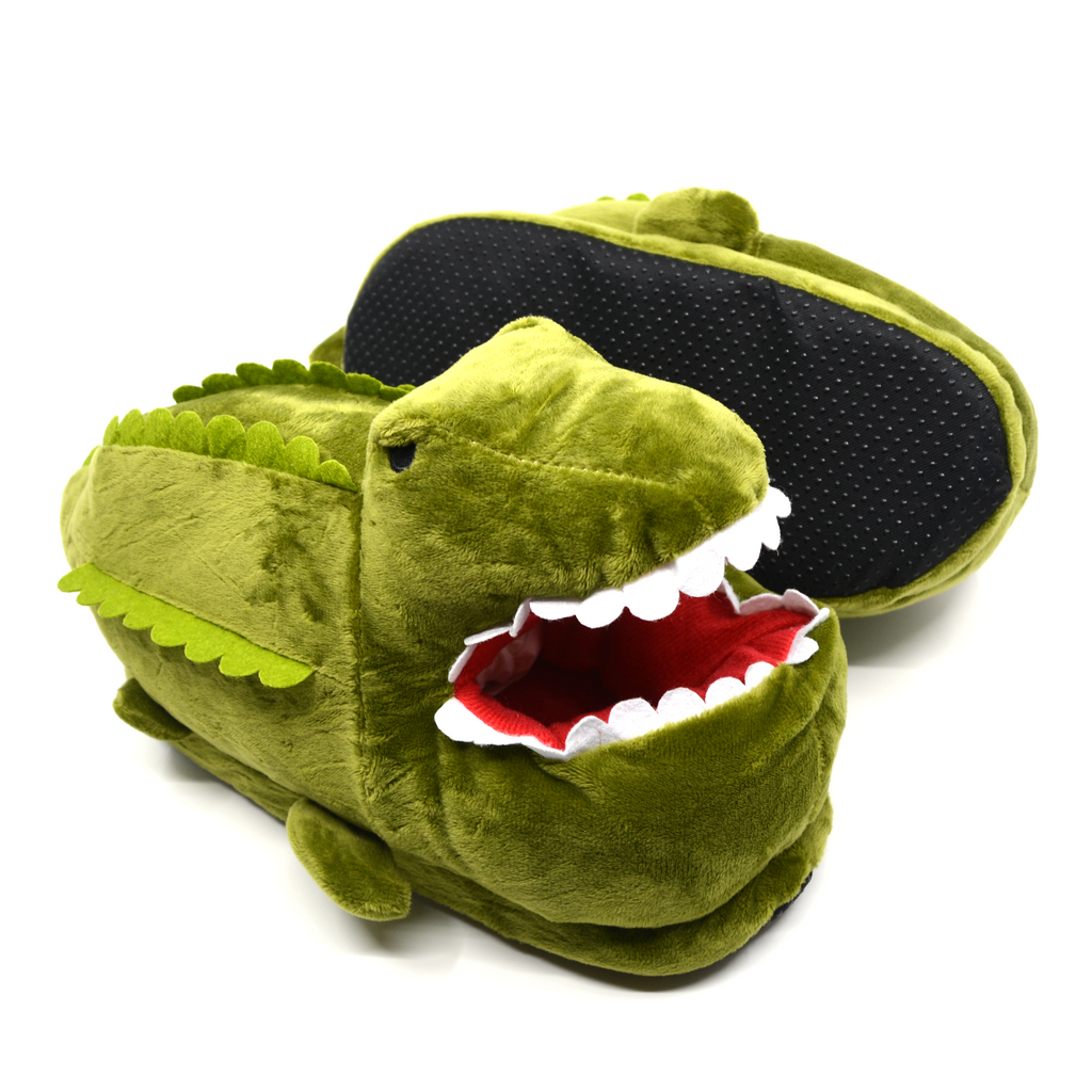 Crocodile Slippers