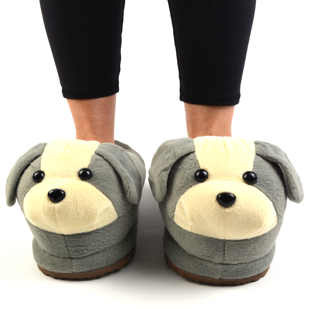 Dog Slippers