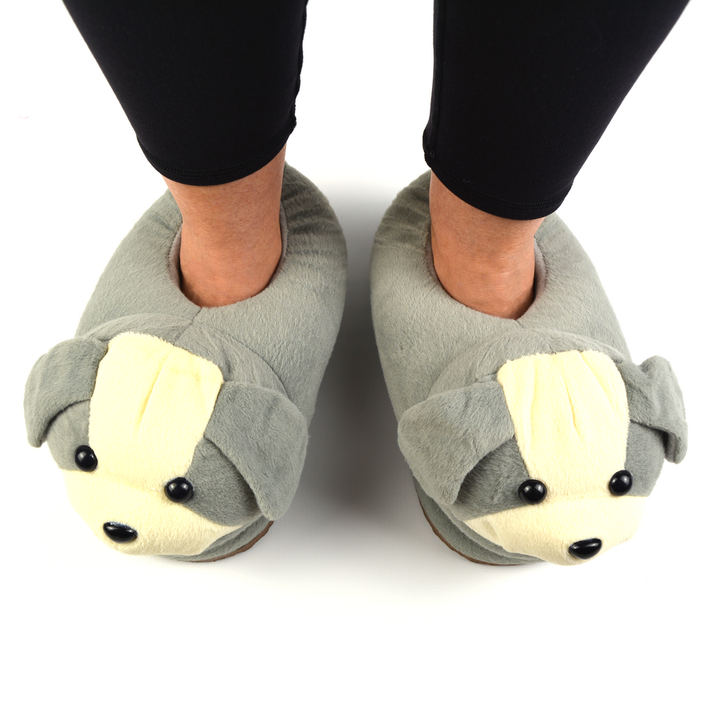 Dog Slippers